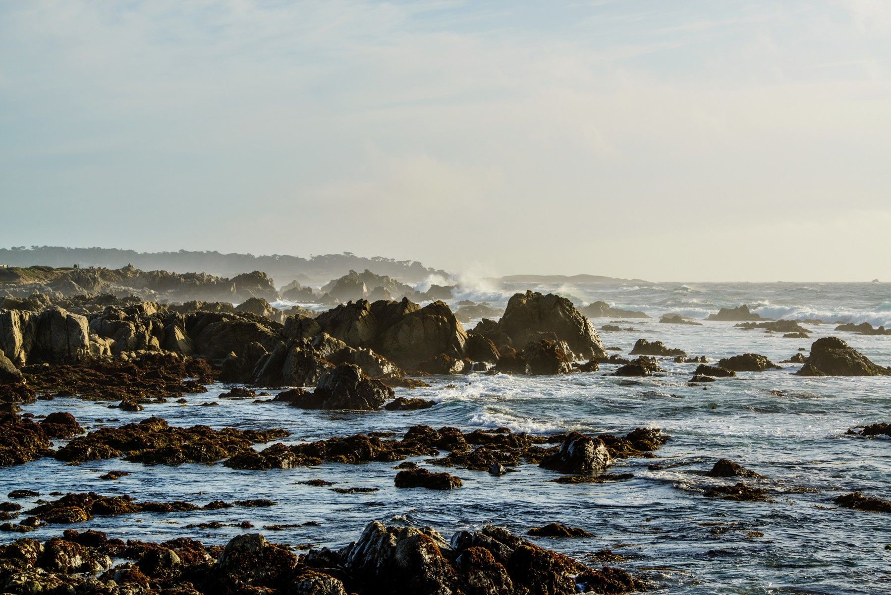 Inn At Spanish Bay Pebble Beach المظهر الخارجي الصورة