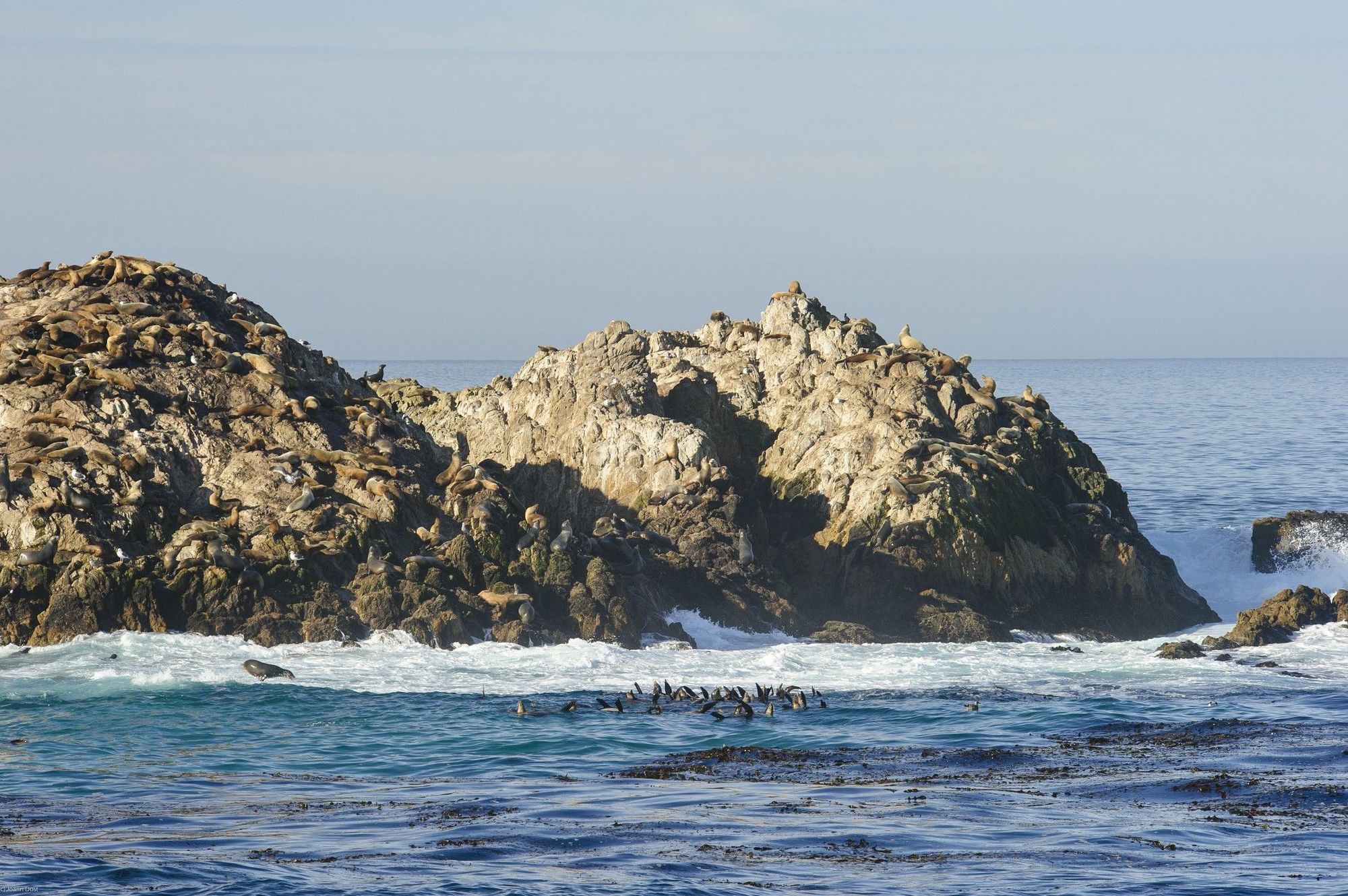 Inn At Spanish Bay Pebble Beach المظهر الخارجي الصورة
